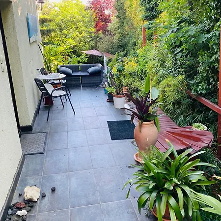 Modern House In With Pool * Budapest