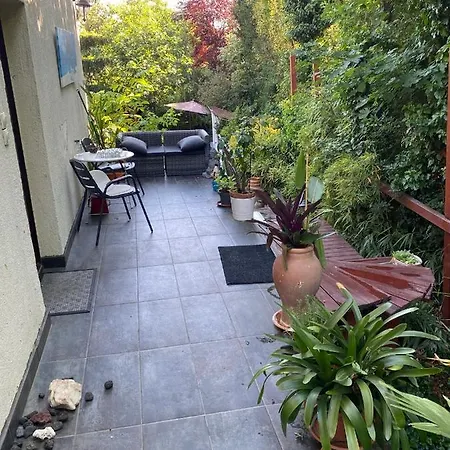 Modern House In With Pool *