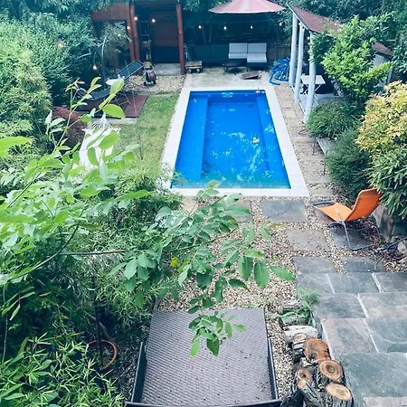 Modern House In With Pool Budapest