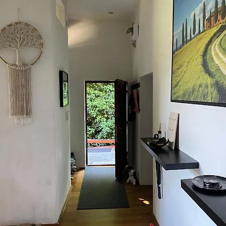 Modern House In With Pool Apartment