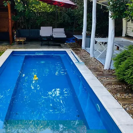 Modern House In With Pool Budapest