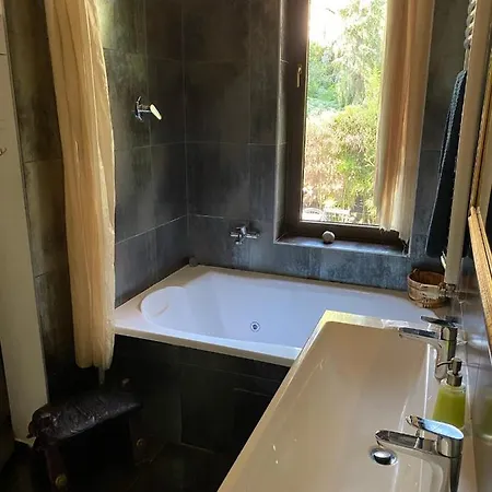 Modern House In With Pool 公寓